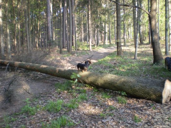 Klikněte pro zobrazení původního (velkého) obrázku