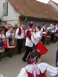 Název souboru=P3160015.jpg
Velikost souboru=182KB
Rozměry=667x890
Datum přidání=14. Říjen 2010 P3160015.jpg