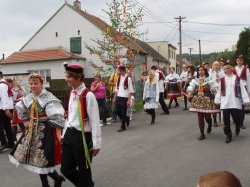Název souboru=P3160047.JPG
Velikost souboru=180KB
Rozměry=906x679
Datum přidání=14. Říjen 2010 P3160047.JPG