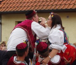 Název souboru=P3160071.jpg
Velikost souboru=174KB
Rozměry=933x800
Datum přidání=14. Říjen 2010 P3160071.jpg