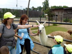 Název souboru=Vylet_ZOO_Batuv_kanal_2011_14.jpg
Velikost souboru=676KB
Rozměry=1000x750
Datum přidání=17. Červen 2011 Vylet_ZOO_Batuv_kanal_2011_14.jpg
