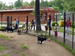 Název souboru=Vylet_ZOO_Batuv_kanal_2011_15.jpg
Velikost souboru=836KB
Rozměry=1000x750
Datum přidání=17. Červen 2011 Vylet_ZOO_Batuv_kanal_2011_15.jpg
