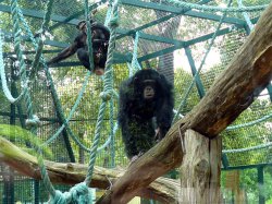 Název souboru=Vylet_ZOO_Batuv_kanal_2011_19.jpg
Velikost souboru=926KB
Rozměry=1000x750
Datum přidání=17. Červen 2011 Vylet_ZOO_Batuv_kanal_2011_19.jpg