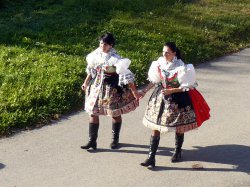 Název souboru=hody_2011_59.jpg
Velikost souboru=960KB
Rozměry=1133x850
Datum přidání=13. Září 2011 hody_2011_59.jpg
