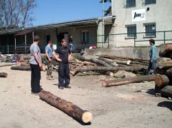 Paleni_carodejnic_2012_5.jpg