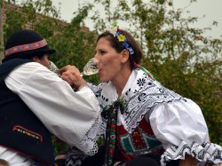 Název souboru=HODY201447.JPG
Velikost souboru=210KB
Rozměry=1133x850
Datum přidání=07. Říjen 2014 HODY201447.JPG