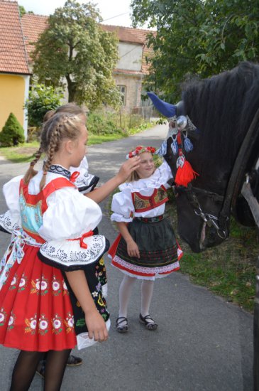 Klikněte pro zobrazení původního (velkého) obrázku