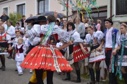 Název souboru=Hody_2017-213.JPG
Velikost souboru=415KB
Rozměry=1155x768
Datum přidání=03. Říjen 2017 Hody_2017-213.JPG