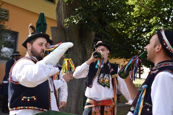 Klikněte pro zobrazení původního (velkého) obrázku